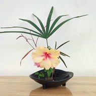 3-leg plate, flat vase, Ikebana Suiban