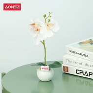 【Lowest price】AONEZ Bunga Hiasan Ruang Tamu Anggrek Bunga Plastik Hiasan Murah Grosir Tanaman Hias Plastik Pot plastik / Pot keramik/ Pot kaca