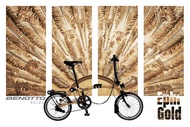 Folding Bike Benotto Volga 16 inch Brompton Style Basikal Lipat
