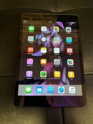 iPad mini1 wifi 16g