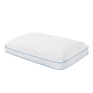 Purelux 支撐記憶枕 45 X 76公分