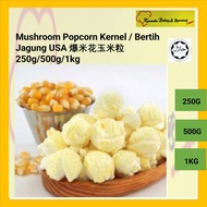 Mushroom Popcorn Kernel / Bertih Jagung USA 爆米花玉米粒 250g/500g/1kg