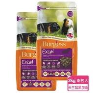 【Burgess英國伯爵】天竺鼠飼料-黑加侖&奧勒岡葉 2KG-兩包入