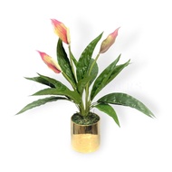 45cm Plant Artificial Peace Lily Bush Plant in a ceramic pot, home decor, decor, garden, events Aplant716
