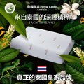 泰國 Royal Latex 皇家兒童乳膠枕 ( 附正品保證卡 送枕套 )