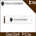 ANACOMDA 巨蟒 i3 1TB Gen3x4 M.2 2280 PCIe SSD固態硬碟