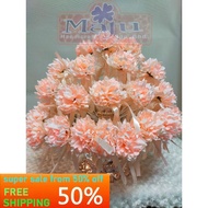 🇺Bunga Telur Terkini/Bunga Pahar Murah-Murah (50pcs/box) Limited Stock⚡⚡⚡21002249