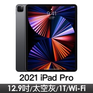 iPad Pro 12.9" Wi-Fi 1TB 太空灰 MHNM3TA/A