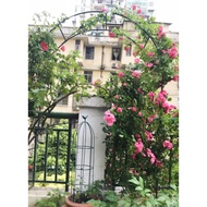 Wrought iron outdoor grape path guide arch flower stand rose climbing vine shelf rose loofah arched climbing flower