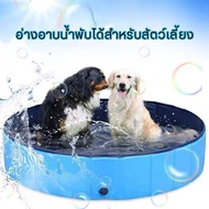 สระน้ำสัตว์เลี้ยง อ่างอาบน้ำสำหรับสัตว์เลี้ยงอเนกประสงค์พับ อ่างอาบน้ำสุนัข สระว่ายน้ำสัตว์เลี้ยง สระน้ำสุนัข อ่างอาบน้ำ สำหรับสัตว์เลี้ยง สุนัขพับได้Catสระว่ายน้ำ ที่อาบน้ำสุนัข