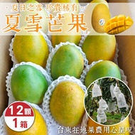 【果農直配】台東芒果界LV夏雪芒果10斤(11-13顆)