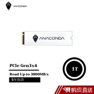 ANACOMDA巨蟒 PCIe Gen3x4 NVMe SSD固態硬碟 I3 1TB  現貨 蝦皮直送