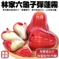 【果農直配】六龜子彈蓮霧6kg/箱(小顆50-56入)