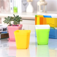 ลดราคาพิเศษ CACTUS POT กระถางเพชร กระถางพลาสติก กระถางแคคตัส สี่เหลี่ยม ขนาดเล็ก มีถาดรอง กระถางต้นไม้ พลาสติก ราคาถูก โปรโมชั่นพิเศษ กระถางแคคตัส DP กระถางไม้อวบน้ำ กระถางพลาสติก กระถางสี่เหลี่ยม