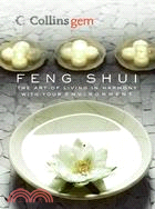 13721.Feng Shui Richard Craze