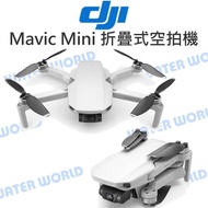 【中壢NOVA-水世界】DJI Mavic Mini 折疊式 迷你空拍機 套裝版 / 單機版 3軸 2.7K增穩 公司貨