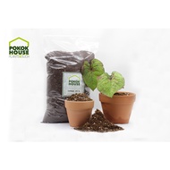 Caladium / general potting mix - Tanah keladi dan pokok hiasan lain (soilless, nutrient packed potting mix for Caladium)
