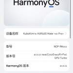 Huawei 華為 Mate 40 pro+