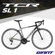 【GIANT】TCR SL1 經典鋁合金極速公路車