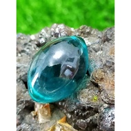 海蓝转运水龙珠🐲(玻璃型）Sea Blue Naga eye 👁️(Glass  Type)Size:+-1.8cm师傅: Phra LP Suk. 龙婆素。庙:Wat Phra Grome,泰北水龙庙