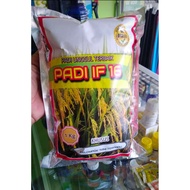 Benih Padi IF16 Bibit Padi Unggul 1kg