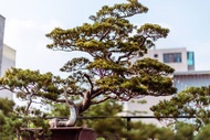 住宿 台南包棟【10-22電梯】七間套房/安平古堡/免費停車/漁光島/10分到花園夜市/漁光島/綠色隧道 台南市, 台灣地區