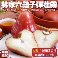 【果農直配】六龜子彈蓮霧2kg/箱(大顆10-14入)