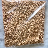 Organic Wheatgrass / Wheat Grass (400g)