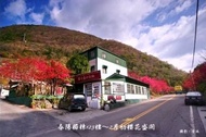 住宿 螢火蟲的故鄉|包棟家庭房