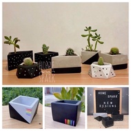 ❖∈Handmade Concrete Pots / Cement Pots For Mini Cactus / Succulents