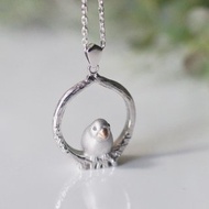 Java sparrow pendant