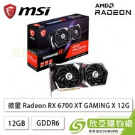 微星 Radeon RX 6700 XT GAMING X 12G/Std:2622MHz/雙風扇/註冊五年保(長27