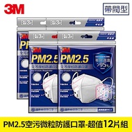 3M PM2.5空污微粒防護口罩帶閥型 - 超值12片 9501V