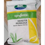 Benih jagung nk 6172 perkasa 1kg