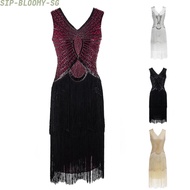Women Dress Cocktail Costume Evening Sequin Great Party Ro Rox Flapper Dress