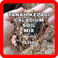 TANAH KELADI CALADIUM SOIL MIX READY TO USE