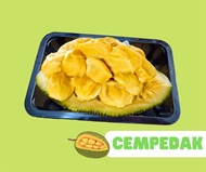 |Fruits Express Delivery| Cempedak 300g