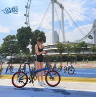 【SG STOCK FREE DELIVERY&INSTALLATION】Crius Master D /Velocity Bicycle 20Inch Foldable Bike Shimano Altus Sora 9 Speed