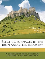 Electric Furnaces in the Iron and Steel Industry Wilhelm,Rodenhauser  著