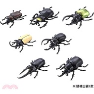 7.TOMICA動物 ANIA 森林王者 甲蟲&鍬形蟲精選 Vol.2