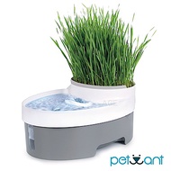 PETWANT 自動渦流循環活水機 PW-101