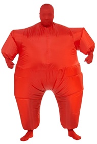 Rubies Costume Co Sumo Inflatable Adult Costume