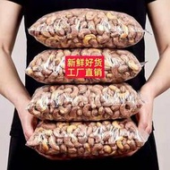 炭燒腰果500g熟腰果仁腰果批發含罐腰果鹽焗炭燒15g零食越南腰果