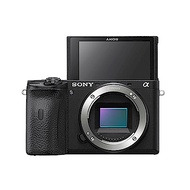 SONY 數位單眼相機 ILCE-6600 A6600 單機身 公司貨