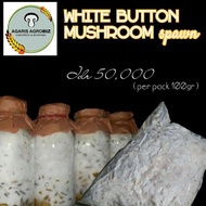 Bibit jamur kancing/champignon