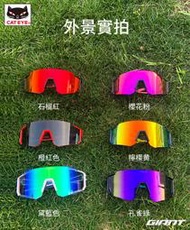 CATEYE A.R. II 偏光太陽眼鏡 戶外運動太陽眼鏡 運動太陽眼鏡