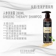 ECOHAIR GINSENG THERAPY SHAMPOO/TONIC FOR MEN 人参洗发露/人参生发精华液 JUNE !!️