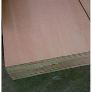 knickknack30cmx90cm Marine Plywood 3/4 h thick (Almost 1ft x 3ft)