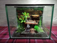 aquarium mini tebing 20x15x15