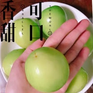 【水果達人】燕巢特選蜜糖牛奶蜜棗禮盒5斤x4箱